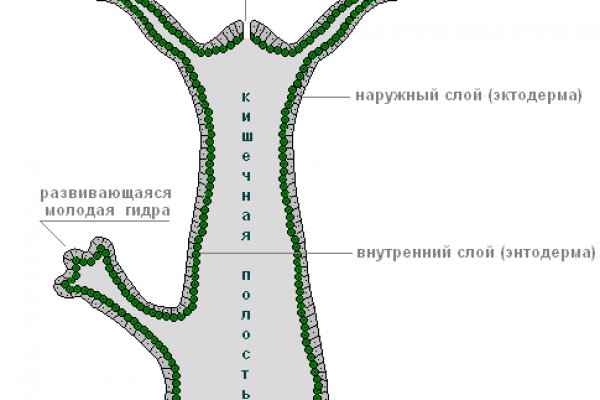 Актуальный адрес кракена